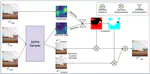 TAIGen: Training-Free Adversarial Image Generation via Diffusion Models